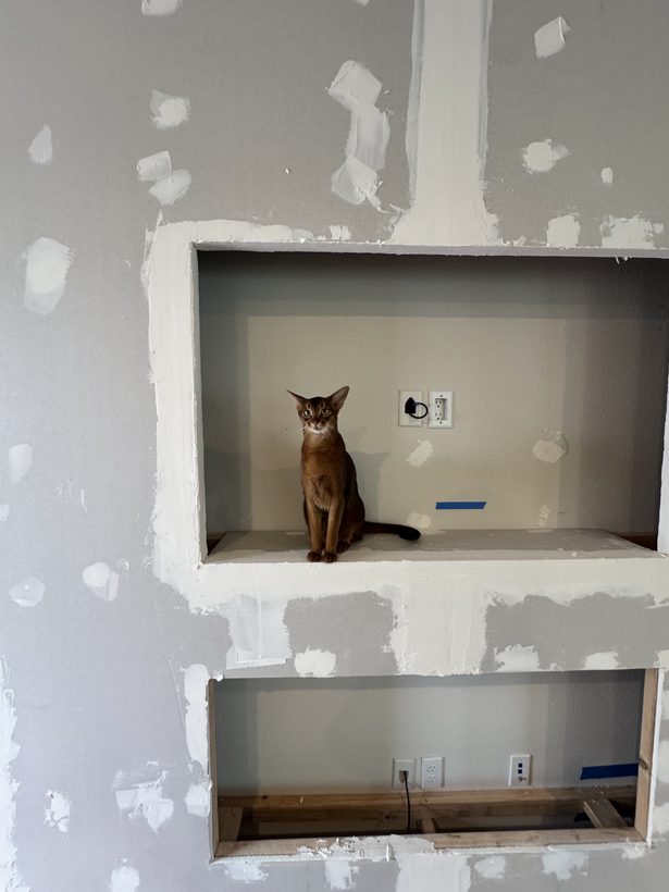 Mid-build, niches framed